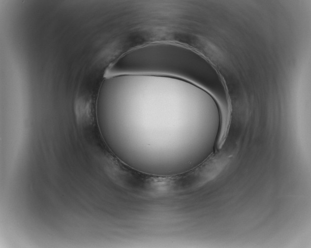 X0000112150088200908071124
