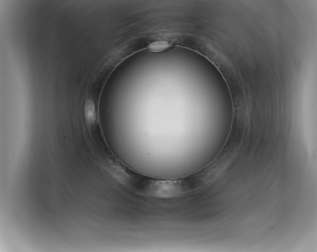 X0000112150089200908071124