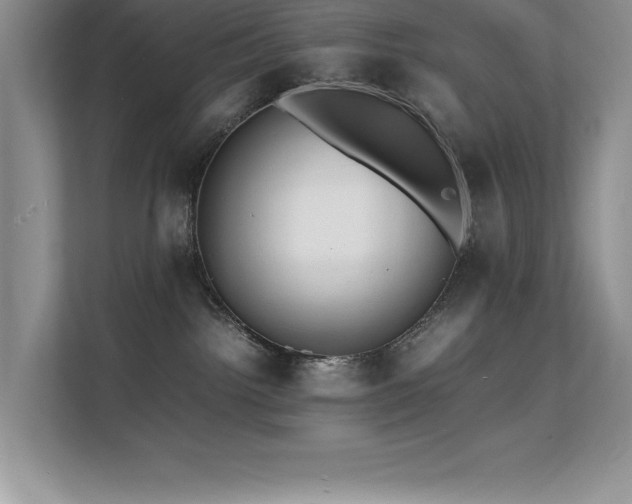 X0000112150092200908071124