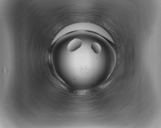 X0000112150096200908071124
