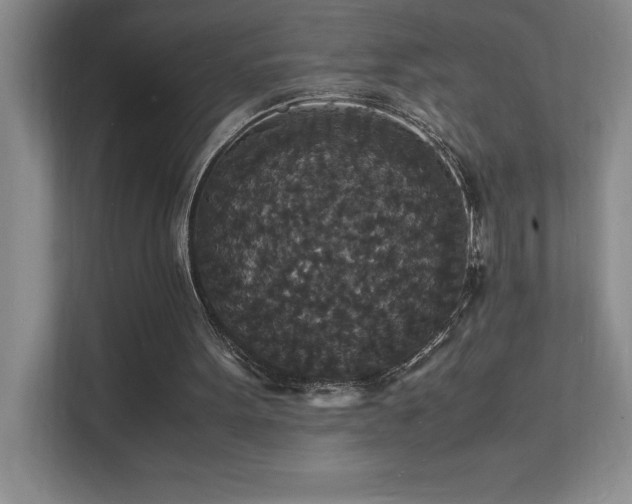 X0000112150099200908071124