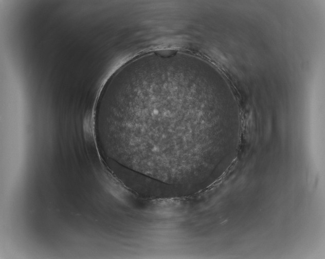 X0000112150100200908071124