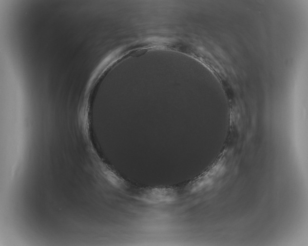 X0000112150101200908071124