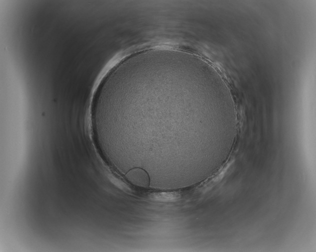 X0000112150102200908071124