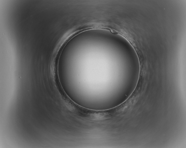 X0000112150103200908071124