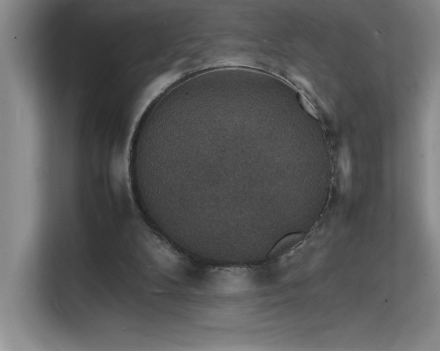 X0000112150104200908071124