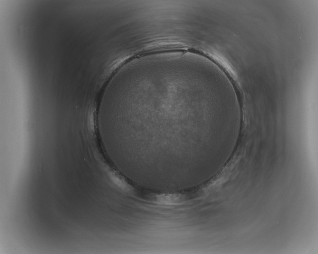 X0000112150105200908071124