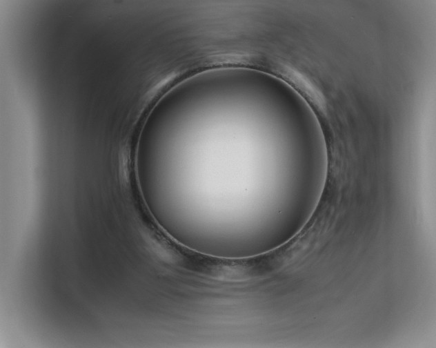 X0000112150107200908071124