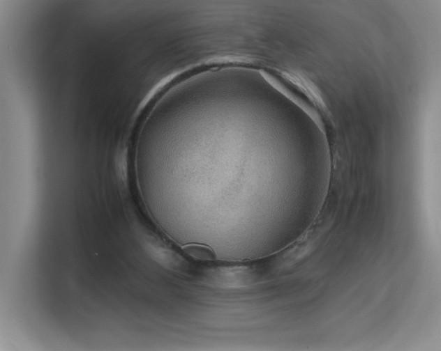 X0000112150108200908071124