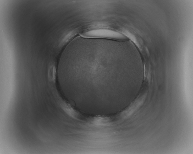 X0000112150109200908071124