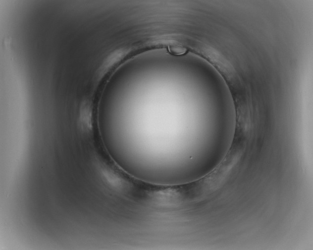 X0000112150112200908071124