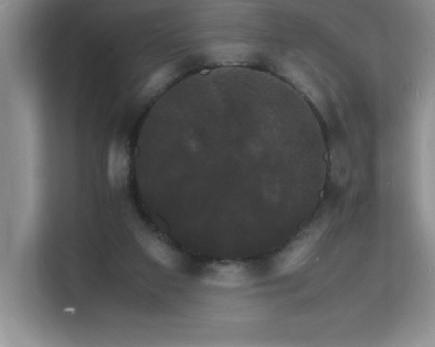 X0000112150113200908071124