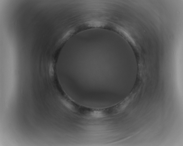 X0000112150114200908071124