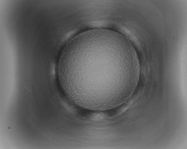 X0000112150115200908071124