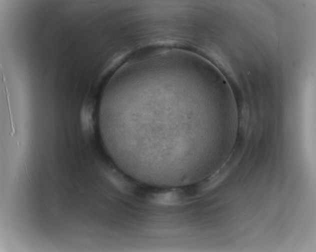 X0000112150116200908071124