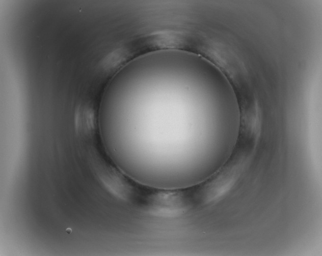 X0000112150117200908071124