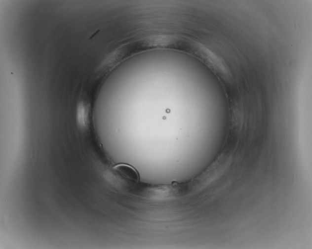 X0000112150118200908071124