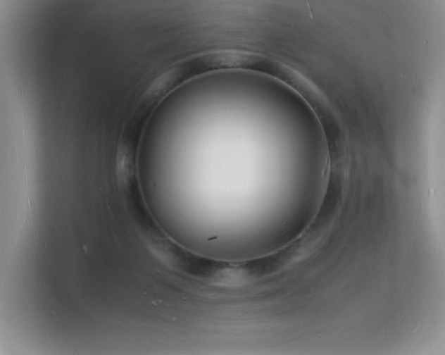 X0000112150119200908071124