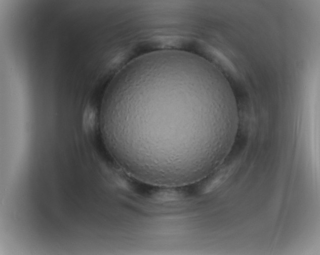 X0000112150123200908071124
