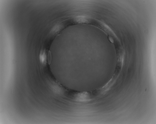X0000112150124200908071124