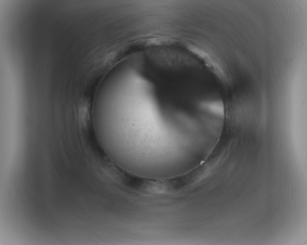 X0000112150127200908071123