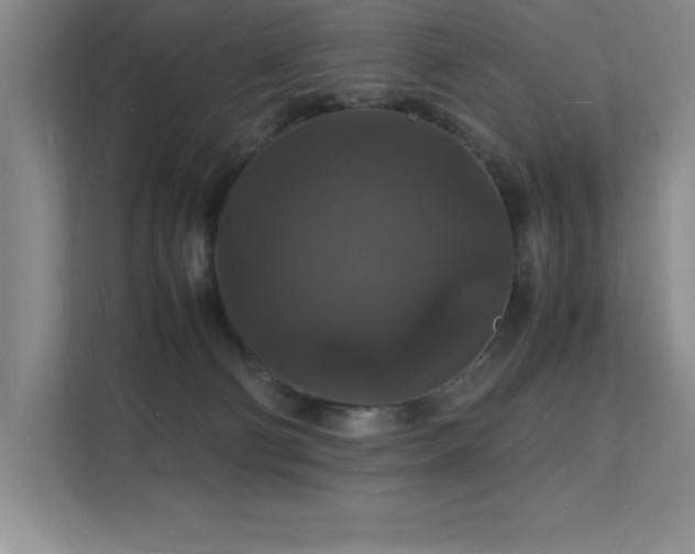 X0000112150130200908071123