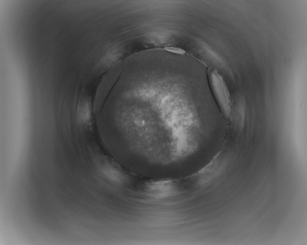 X0000112150132200908071123