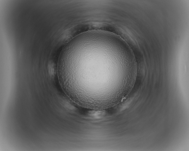X0000112150135200908071123