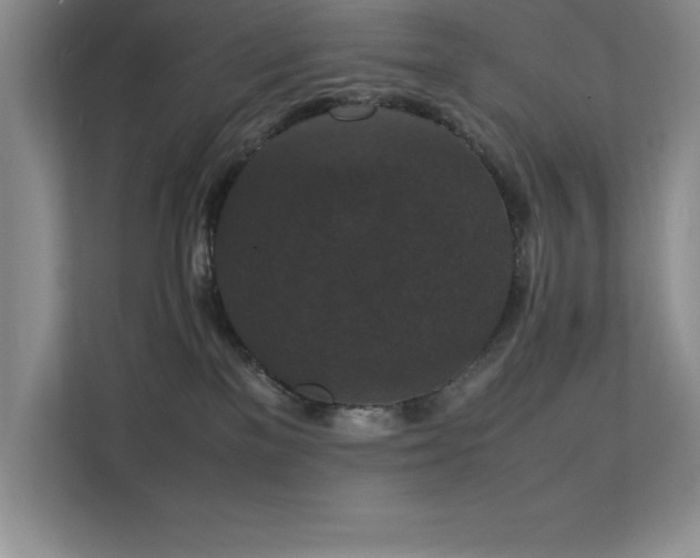 X0000112150137200908071123