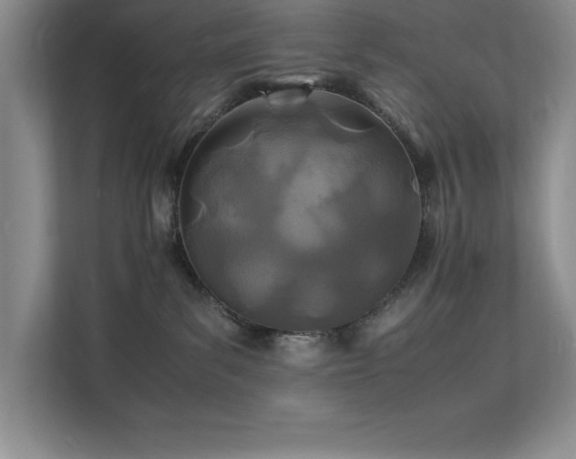 X0000112150139200908071123