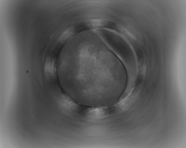 X0000112150140200908071123