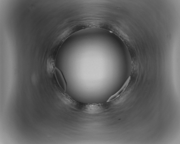 X0000112150141200908071123