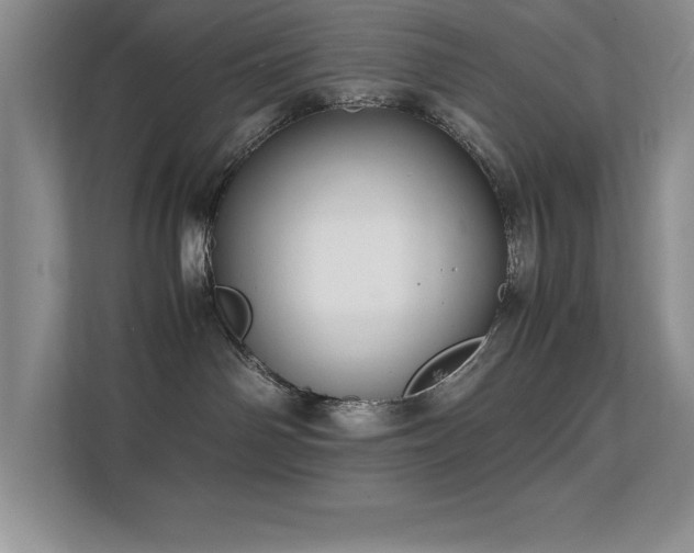 X0000112150142200908071123