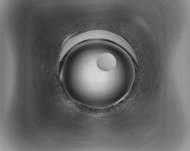 X0000112150144200908071123