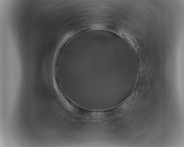 X0000112150145200908071123