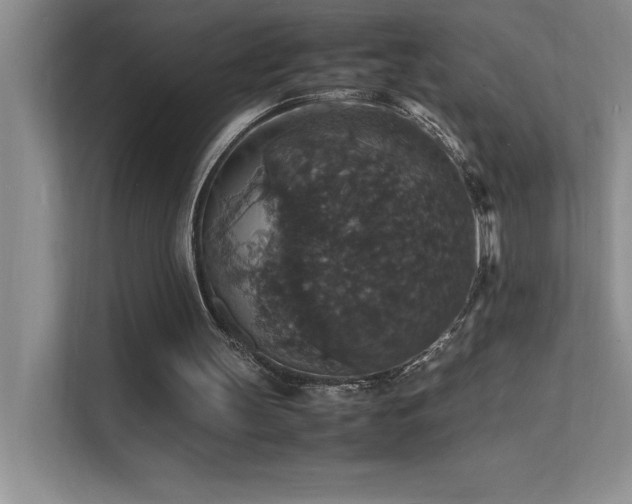 X0000112150147200908071123