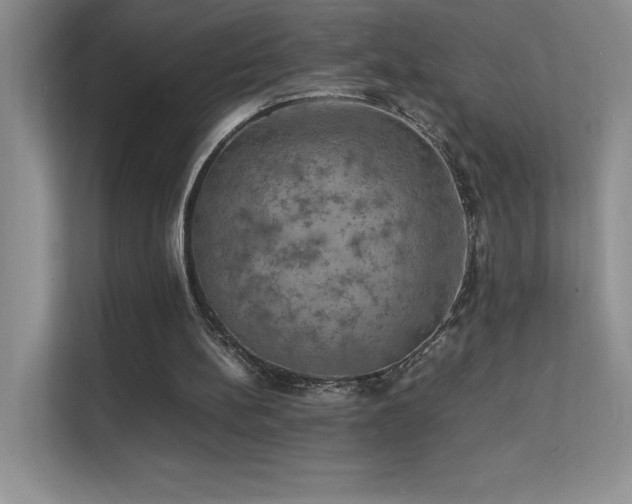 X0000112150148200908071123