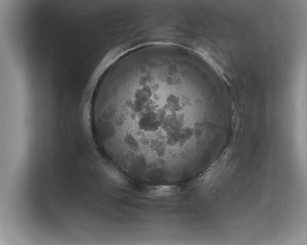 X0000112150151200908071123