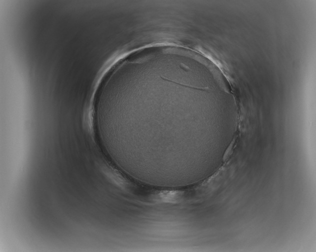 X0000112150152200908071123