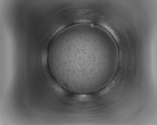 X0000112150153200908071123