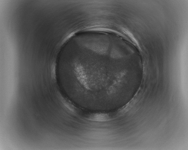X0000112150154200908071123