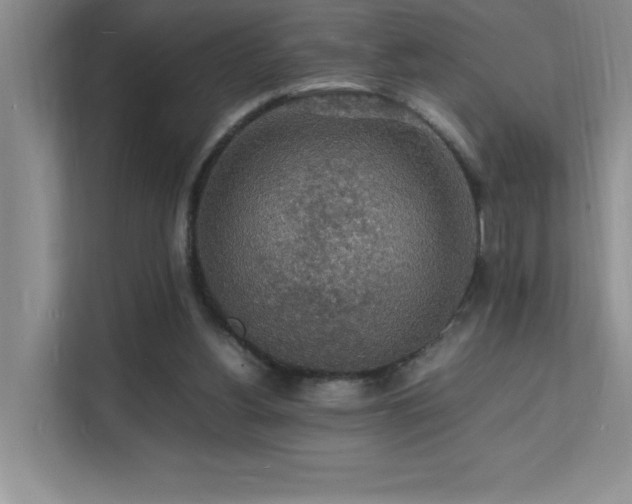 X0000112150156200908071123