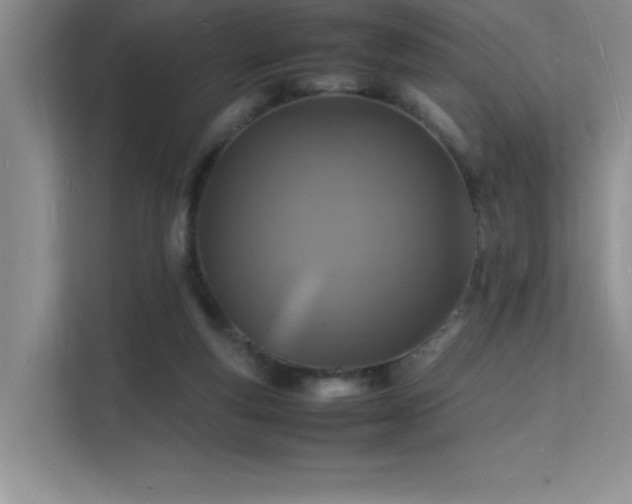 X0000112150163200908071123