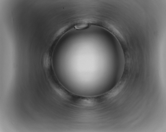 X0000112150164200908071123