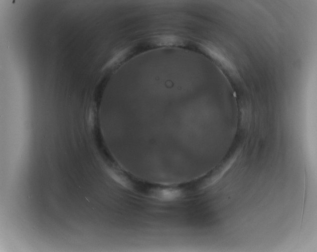 X0000112150165200908071123