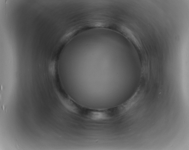 X0000112150167200908071123