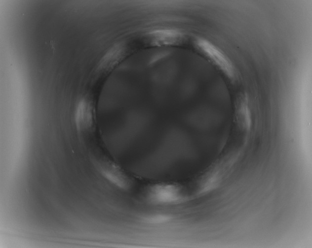 X0000112150169200908071123