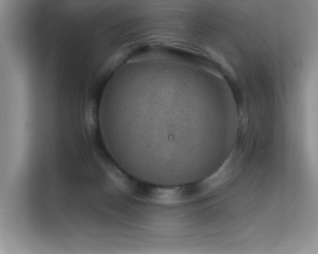 X0000112150170200908071123