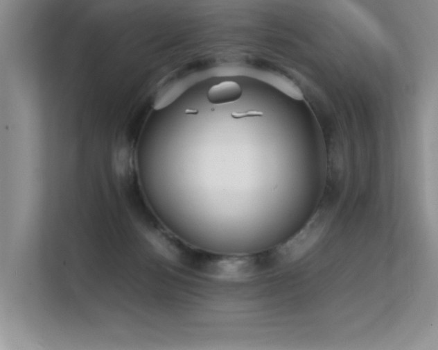 X0000112150172200908071123