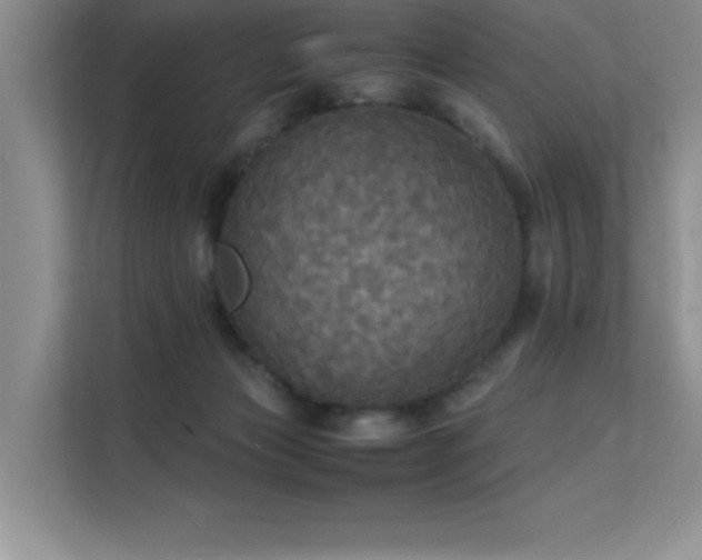 X0000112150173200908071123